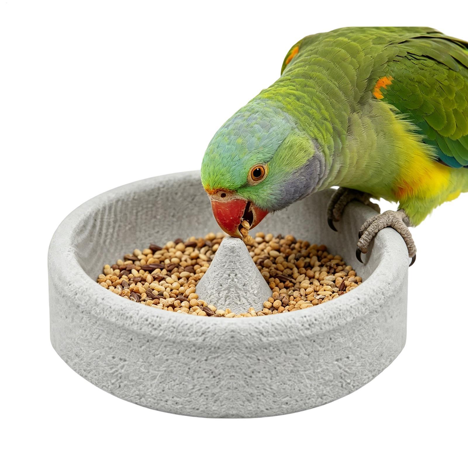 Pumice Stone Bird Feeders for  - Stones Watches & Jewelry In Sweden Ab review and price