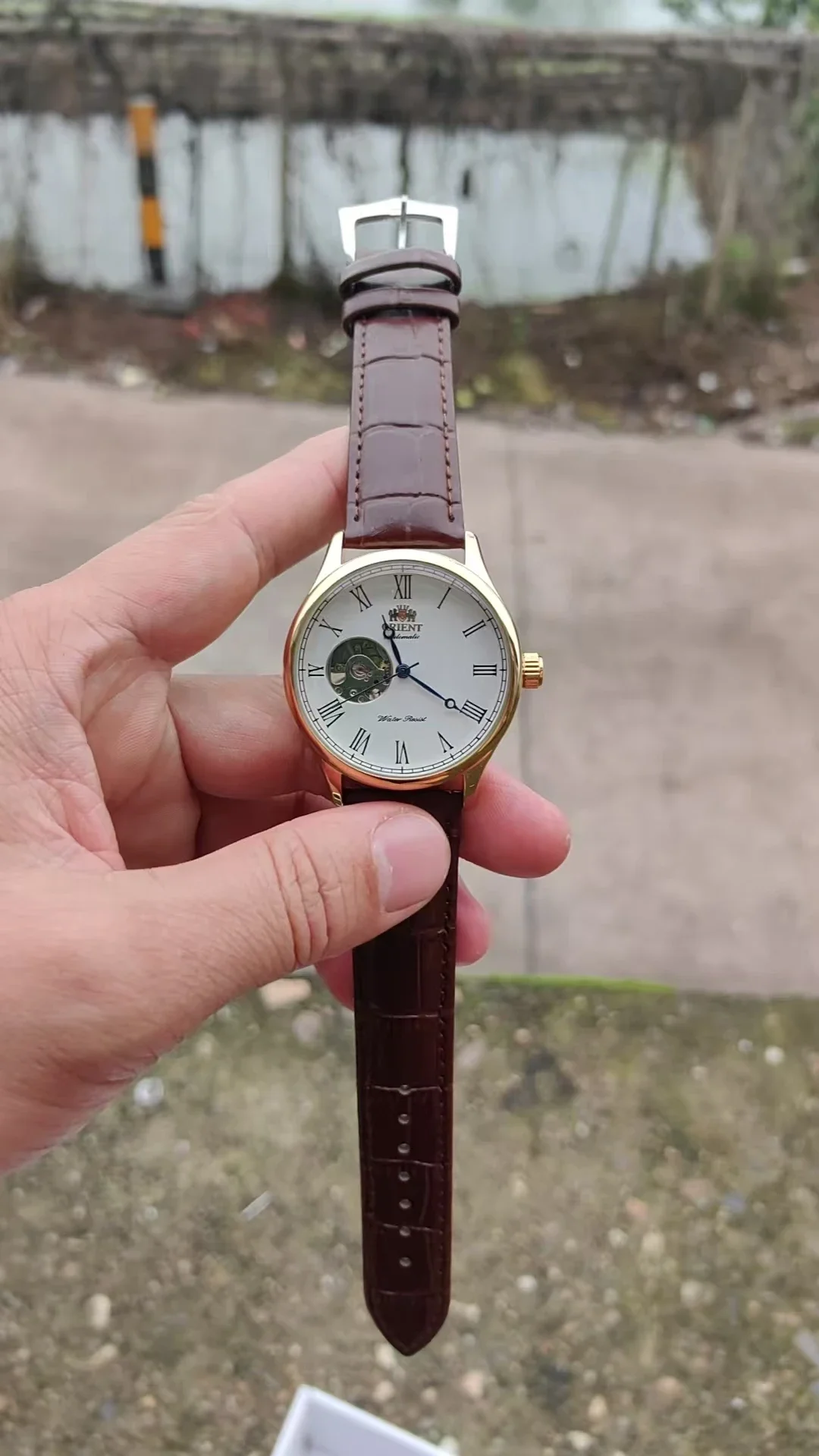 DFDG Mechanical Skeleton Watch - Seiko Watch Presage review and price