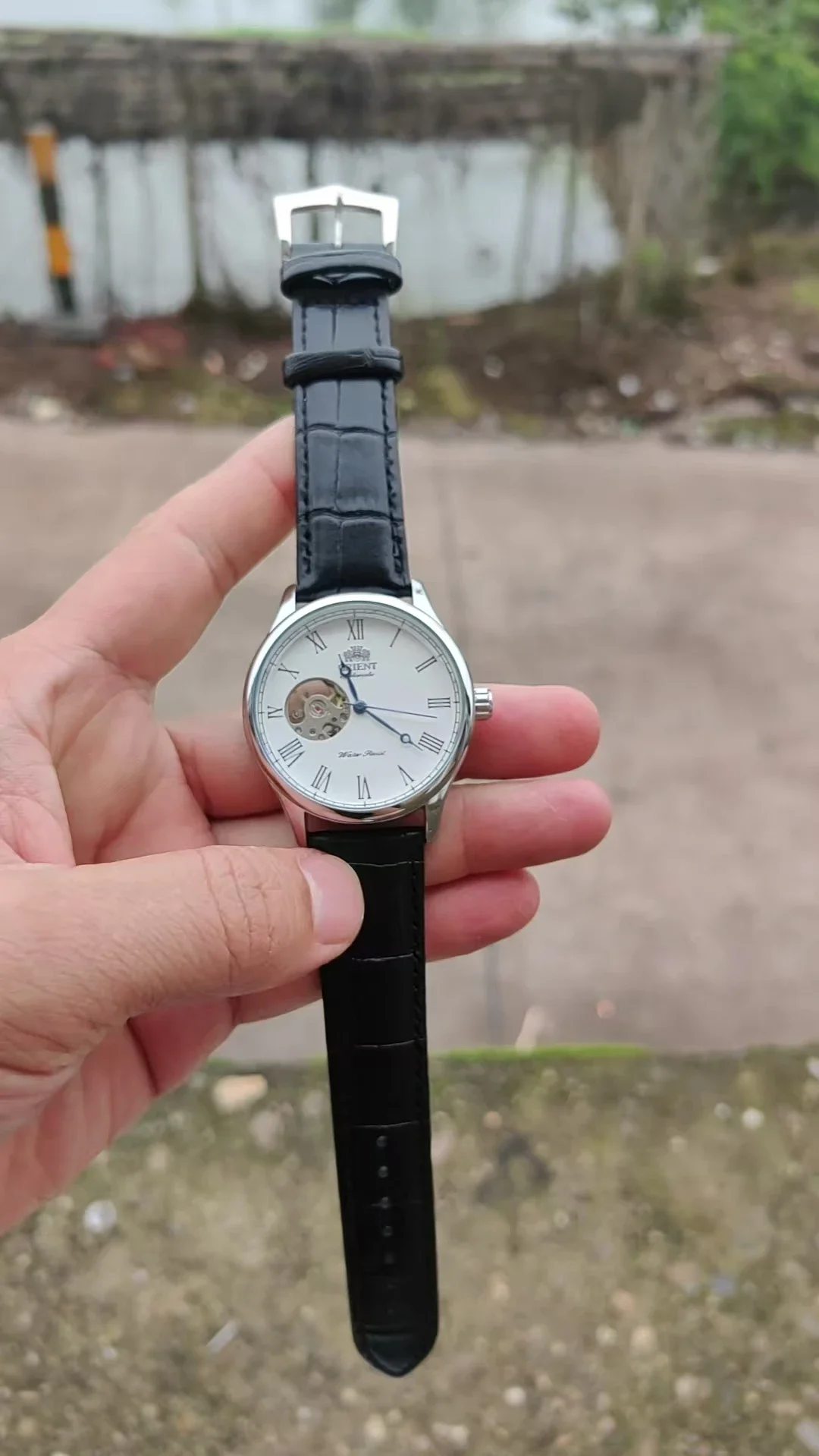 DFDG Mechanical Skeleton Watch - Seiko Watch Presage review and price